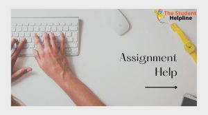 Assignment Help
