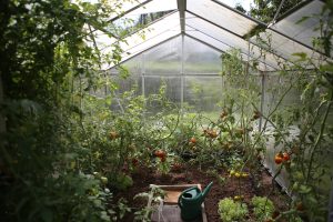 Garden Products
