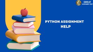 python assignment help