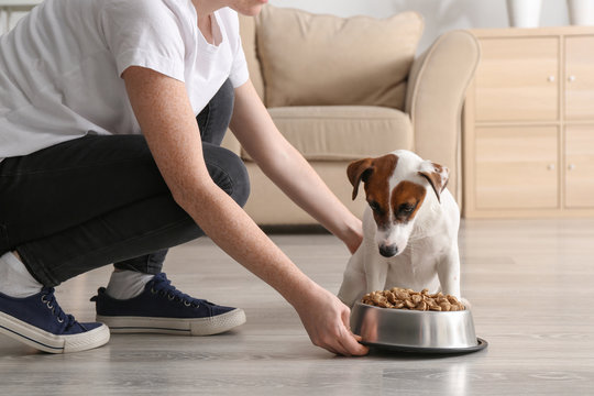 grain-free-food-for-dogs