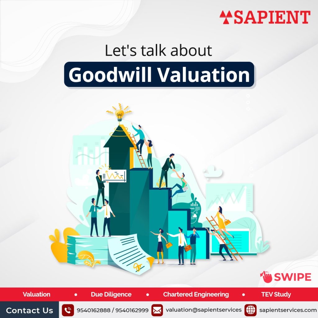 What is the Valuation of goodwill by Sapient Services