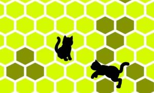 get-fascinating-facts-about-trap-the-cat