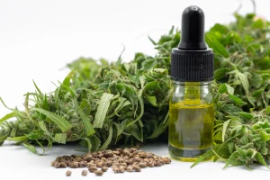 CBD Oil Capsules