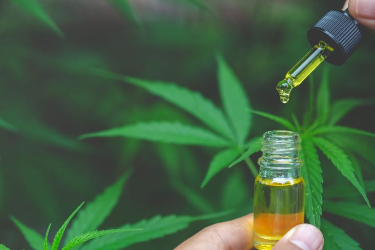 Mistakes to avoid while you plan to cannabidiol oil
