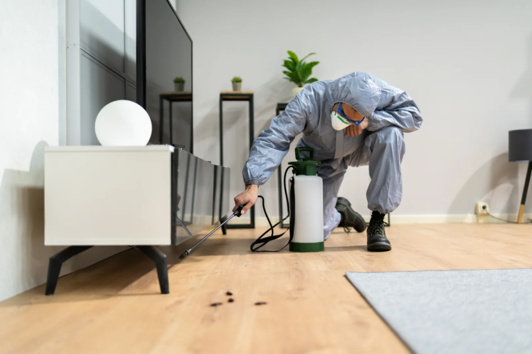 How Residential Pest Control Services Can Keep Your Home Safe and Healthy