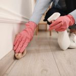 Dirty Baseboard Edges - Remove Dust Without Back Strain