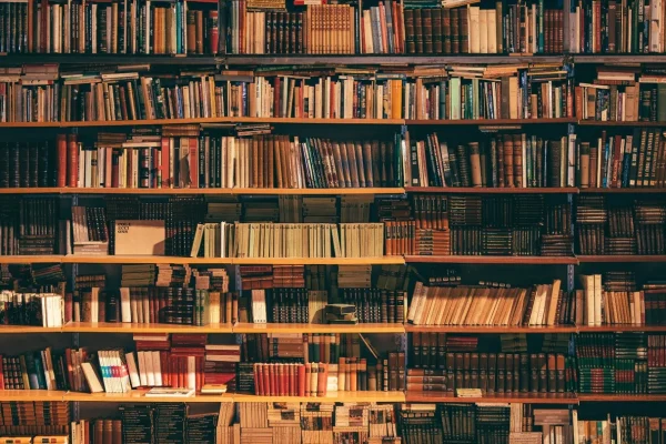 Cluttered Bookshelf Areas - Organize Displays Without Looking Crowded